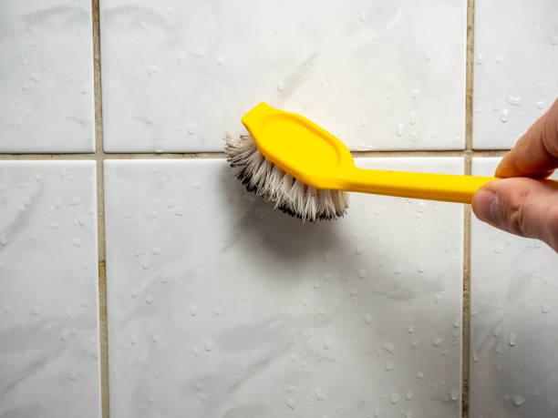 Best Mold Remediation for Specific Building Types in Cottonwood, AL