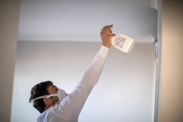 Best Localized Mold Remediation (e.g., coastal areas, humid climates) in Cottonwood, AL
