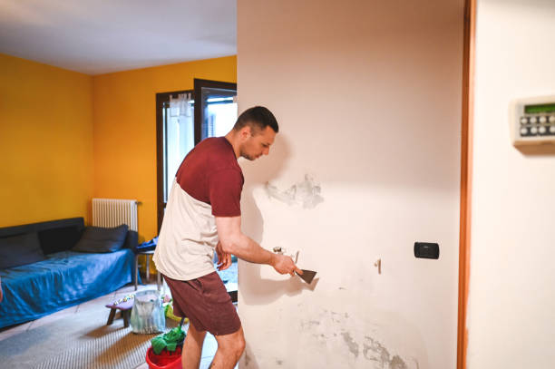 Best Basement Mold Remediation in Cottonwood, AL